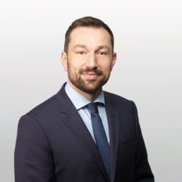 CEO, DOCSTR GmbH